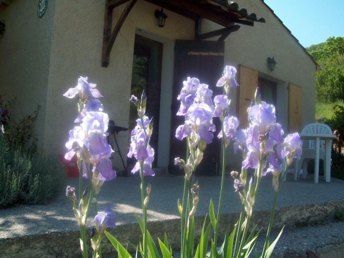 Gite Les Iris La Robine-Sur-Galabre Εξωτερικό φωτογραφία